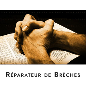 Logo Réparateur de brèches